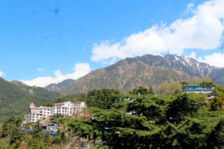 Dharamshala Travel Guide