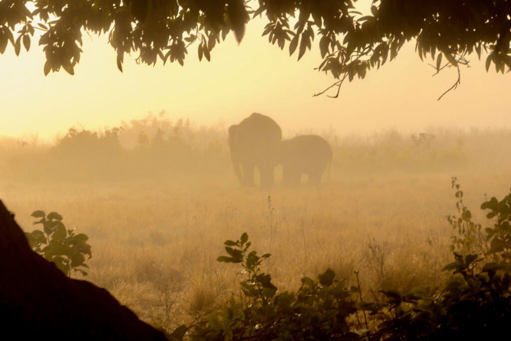 Uttarakhand tour packages
