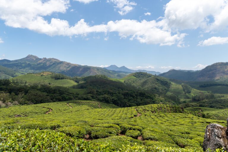 Munnar Travel Guide