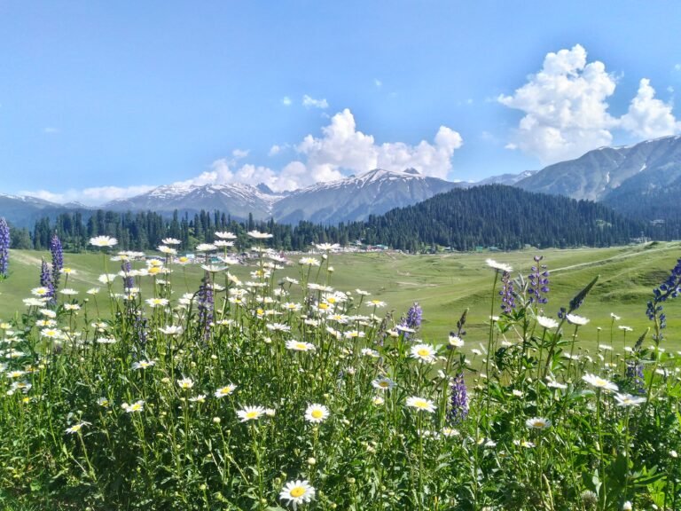 Gulmarg Travel Guide