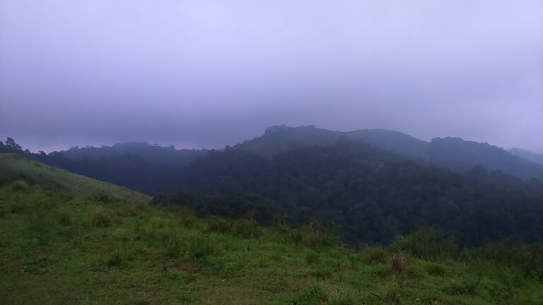 Thekkady & Periyar Travel Guide