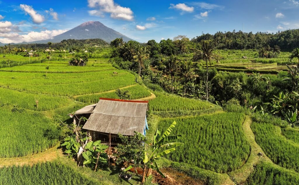 Bali tour packages