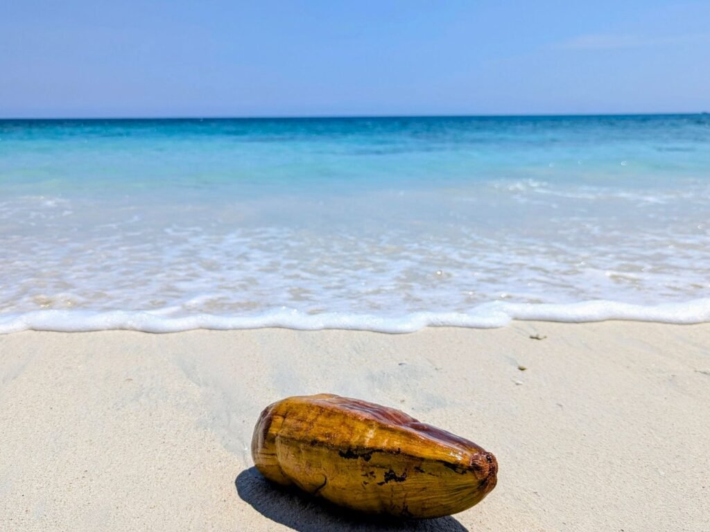 Andaman 5 Nights 6 Days Island Tour