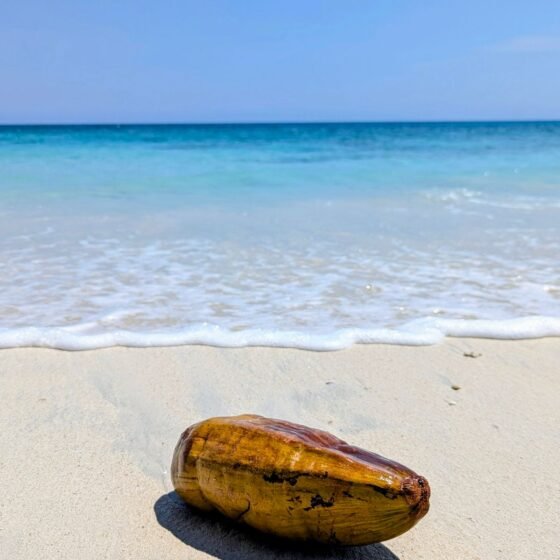 Andaman 5 Nights 6 Days Island Tour