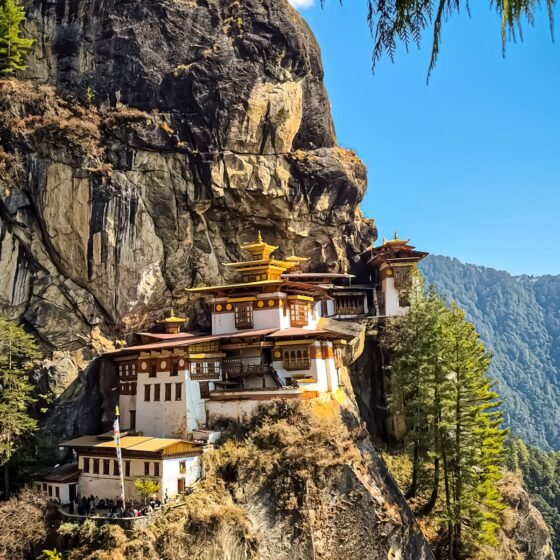 Bhutan 5 Nights 6 Days Tour Package