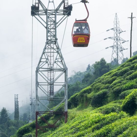 Darjeeling Tour Package 3 Nights 4 Days