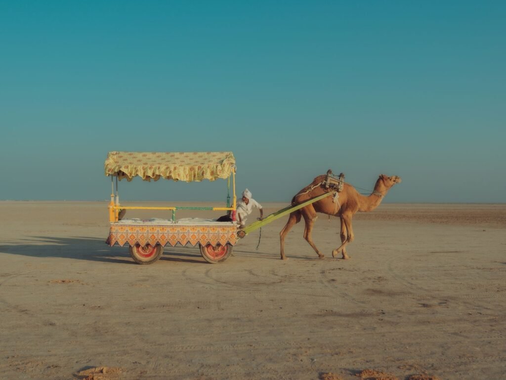 Premium Gujarat Private Tour 5 Nights 6 Days