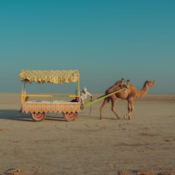 Premium Gujarat Private Tour 5 Nights 6 Days
