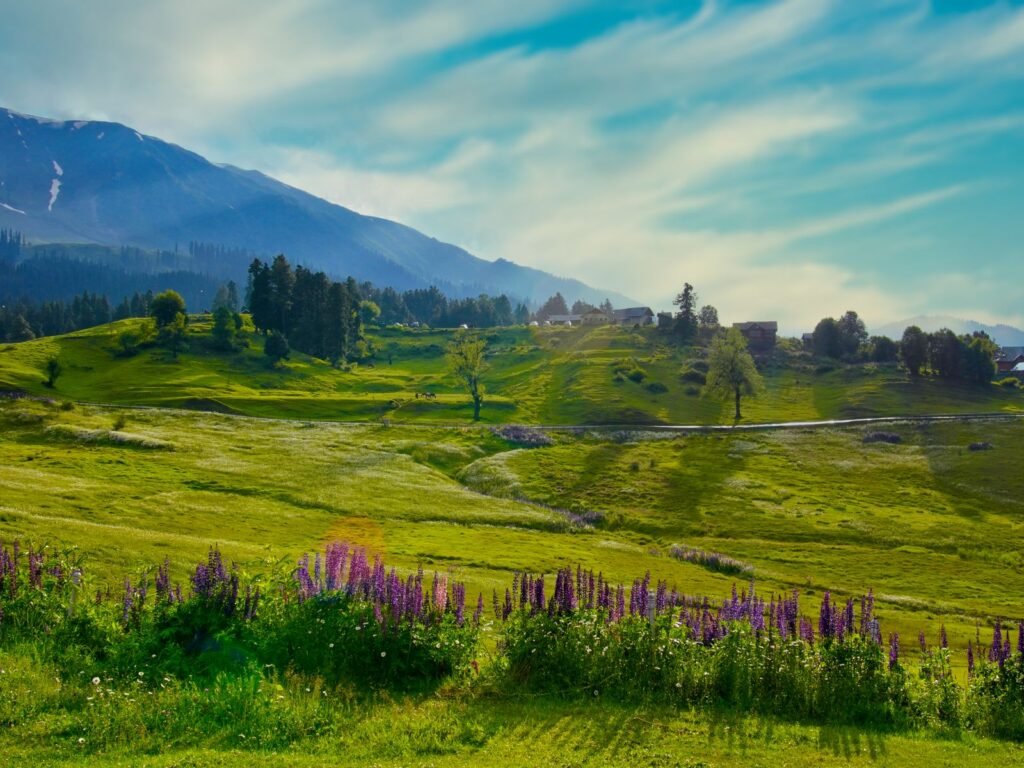 Kashmir 4 Nights 5 Days Tour Package