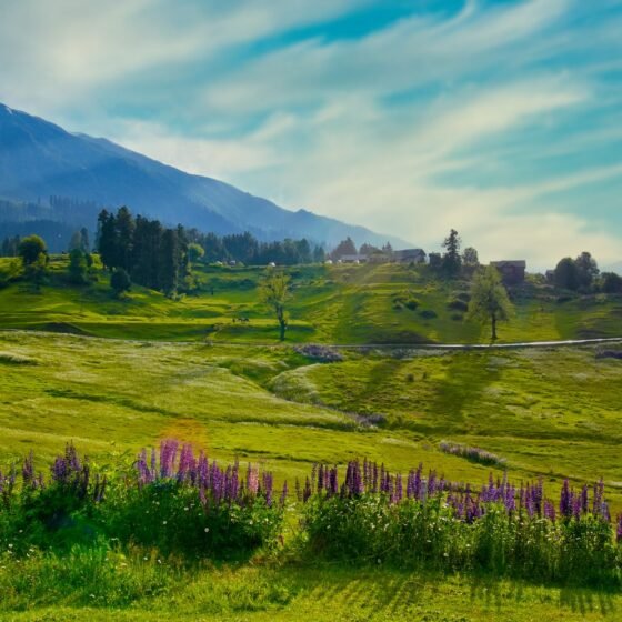 Kashmir 4 Nights 5 Days Tour Package