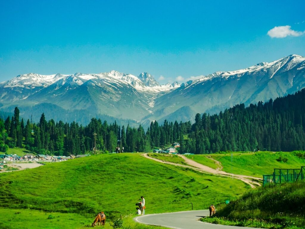Kashmir 5 Nights 6 Days Holiday