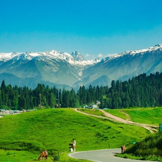 Kashmir 5 Nights 6 Days Holiday
