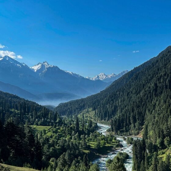 Kashmir Honeymoon Package 6 Nights 7 Days