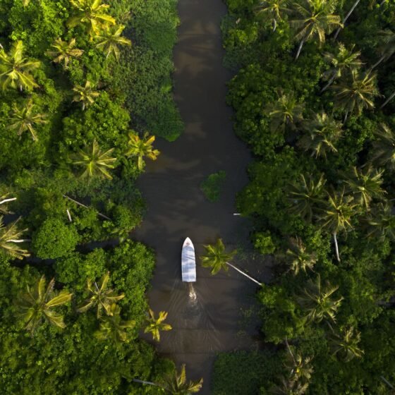 Kerala 4 Nights 5 Days Tour Package