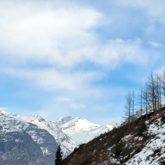 Manali 4 Nights 5 Days Tour Package