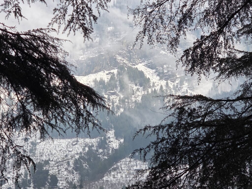 Manali Couple Package 4 Nights 5 Days
