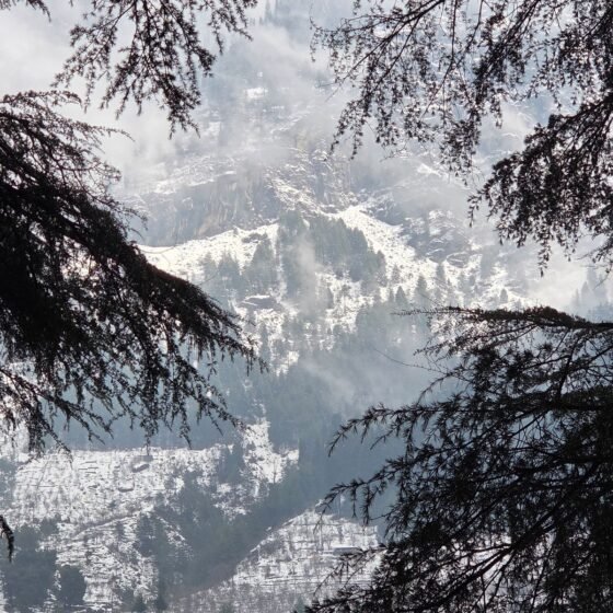 Manali Couple Package 4 Nights 5 Days