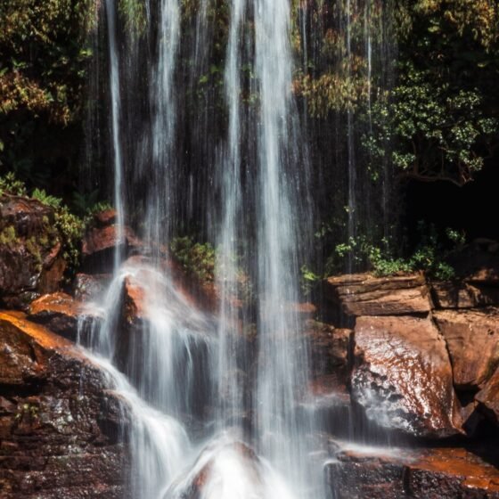 Meghalaya 4 Nights 5 Days Tour Package