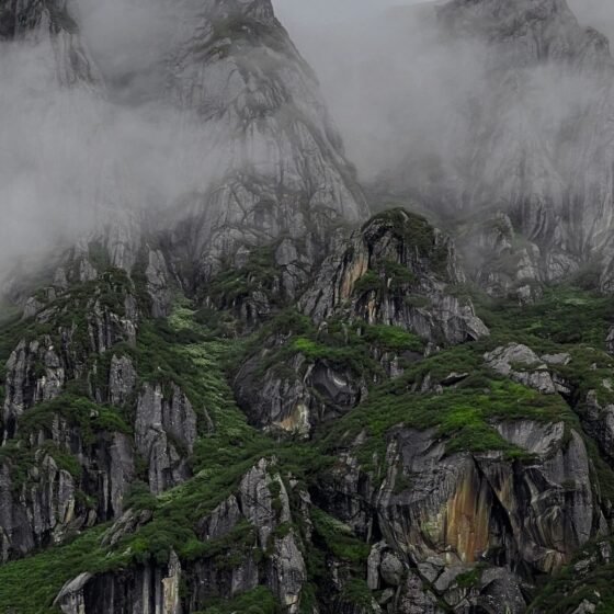 North Sikkim Gangtok Pelling Darjeeling 7 Nights 8 Days