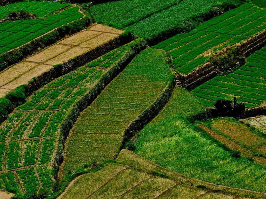 Ooty Mysore 4 Nights 5 Days Tour Package