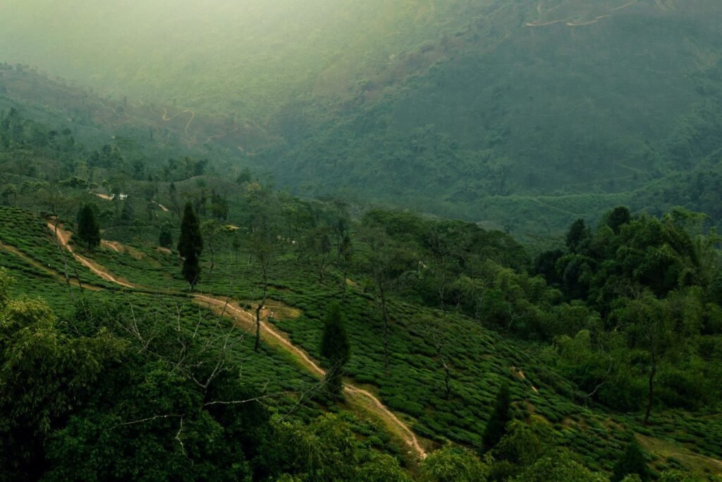 Travel route planning and destination inspiration