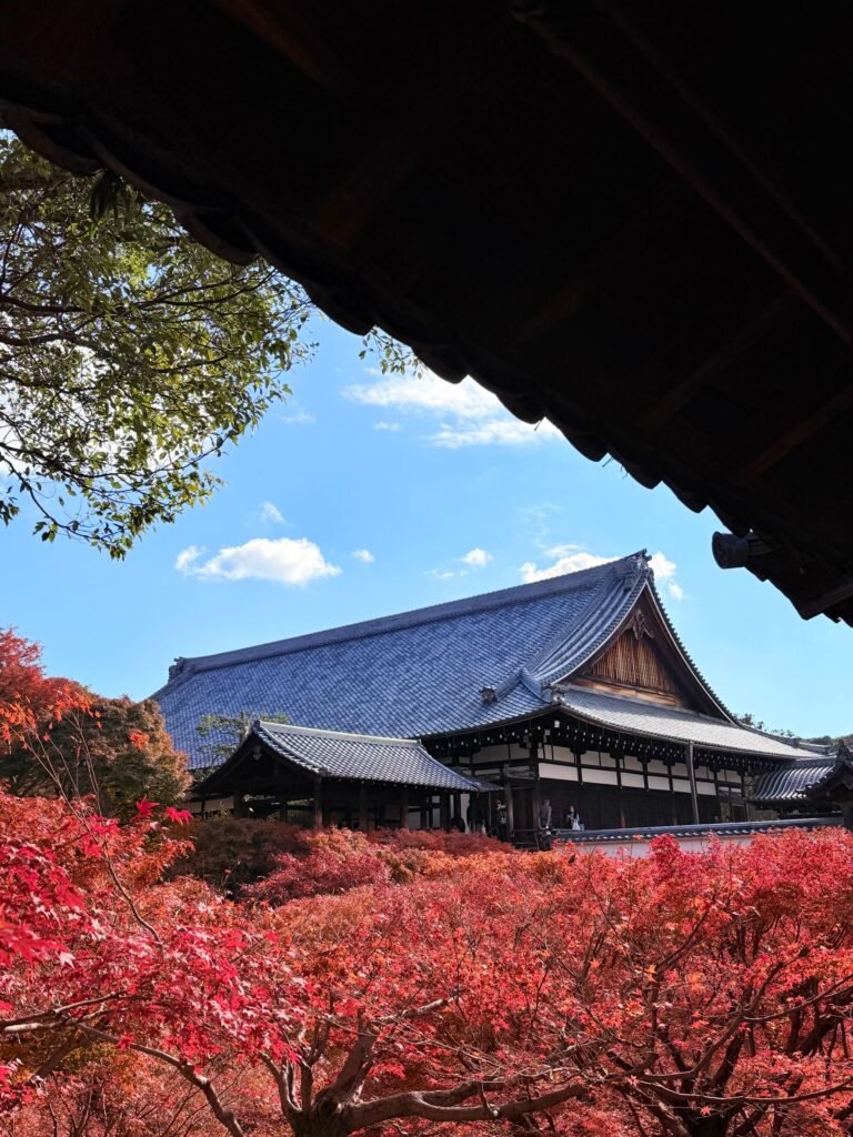 Japan tour packages
