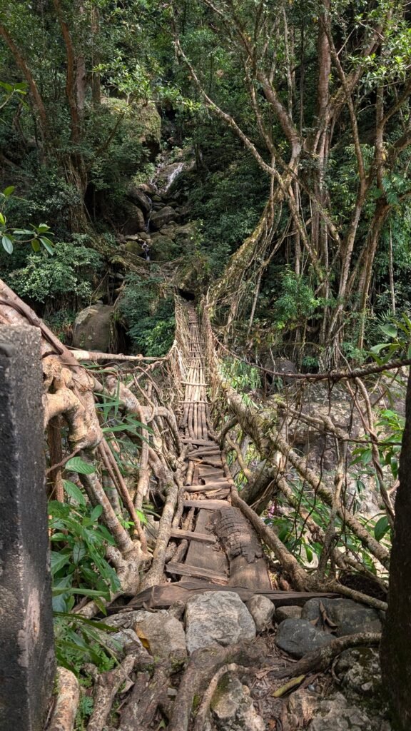 Meghalaya Tour Guide