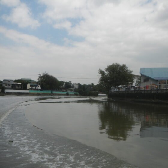 Philippines Essential 4 Nights 5 Days