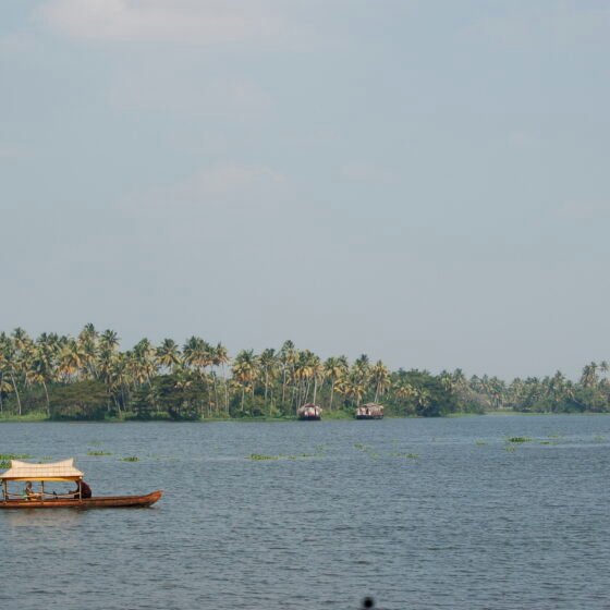 Alappuzha Backwater Shikara and Village Experience