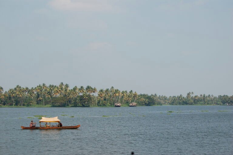 Alappuzha Backwater Shikara and Village Experience