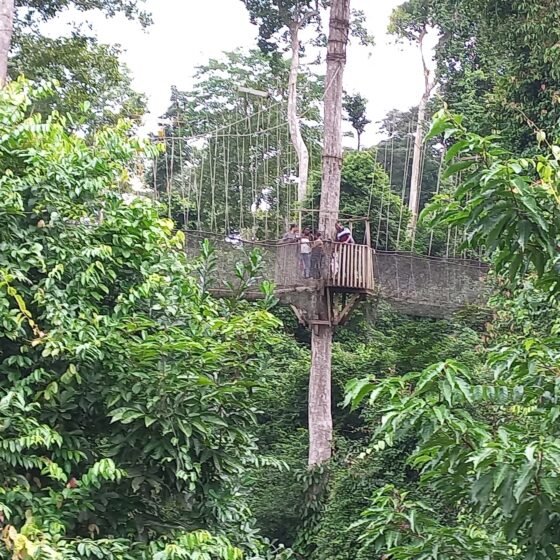 Ghana Signature 6 Nights 7 Days destination landscape