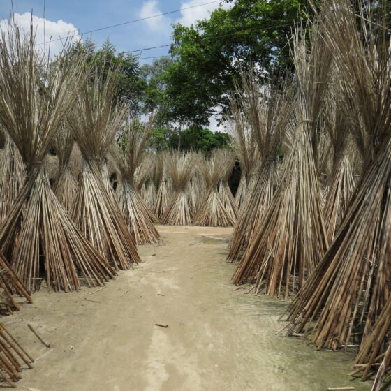 Bangladesh Signature 6 Nights 7 Days