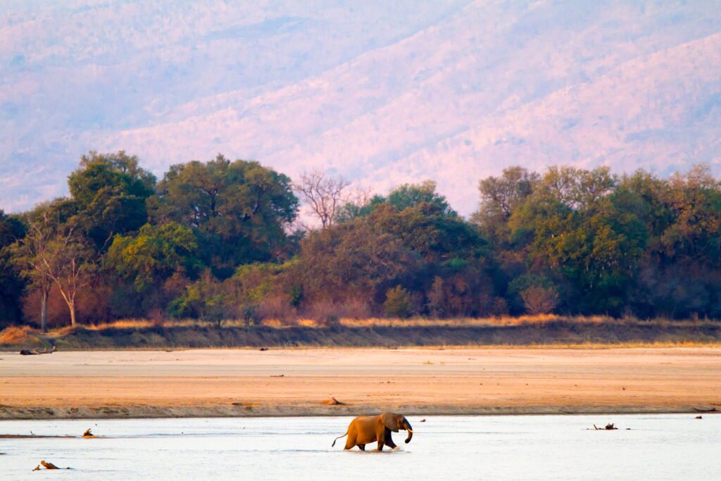 Zambia Signature 6 Nights 7 Days