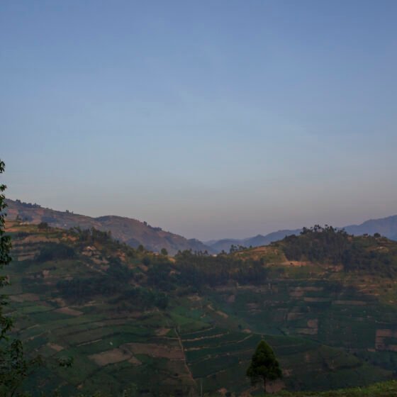 Uganda Signature 6 Nights 7 Days