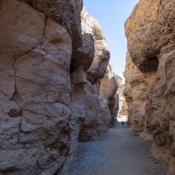 Namibia Essential 4 Nights 5 Days