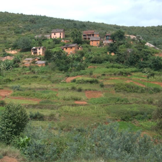 Madagascar Signature 6 Nights 7 Days