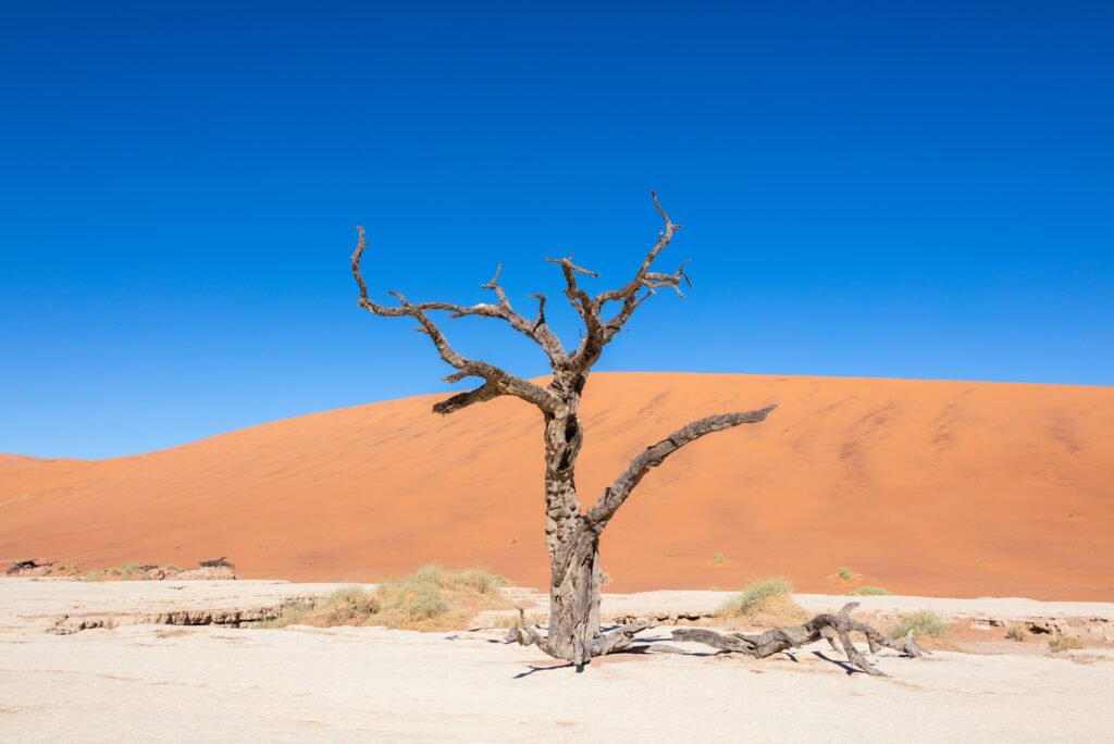 Namibia Grand Circuit 8 Nights 9 Days
