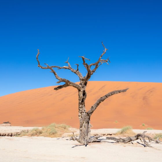 Namibia Grand Circuit 8 Nights 9 Days