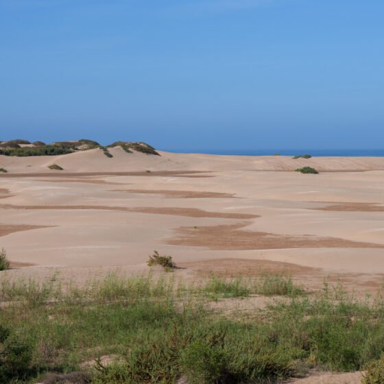 Morocco Signature 7 Nights 8 Days