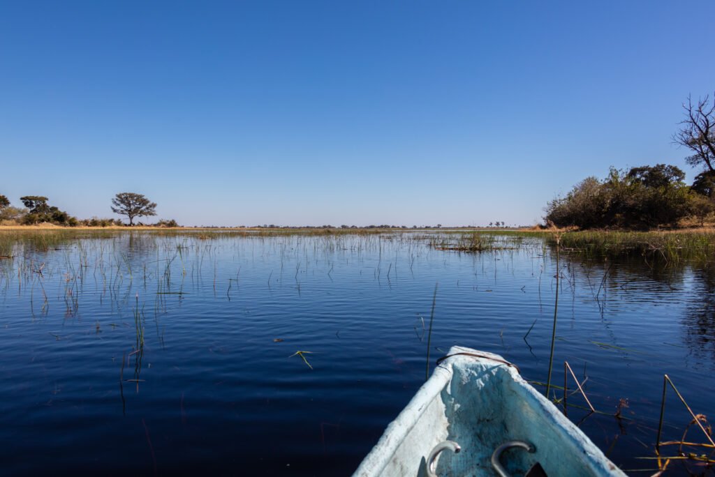 Botswana Essential 4 Nights 5 Days