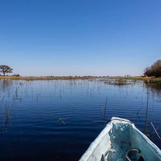 Botswana Essential 4 Nights 5 Days