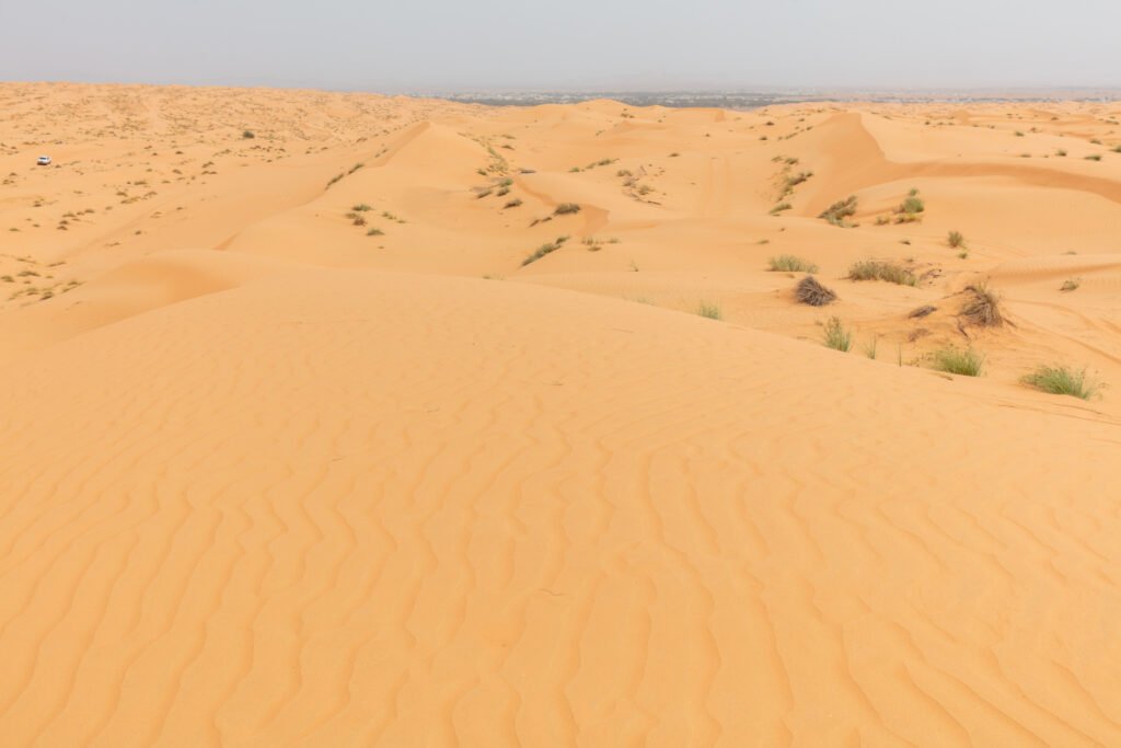 Oman Signature 6 Nights 7 Days