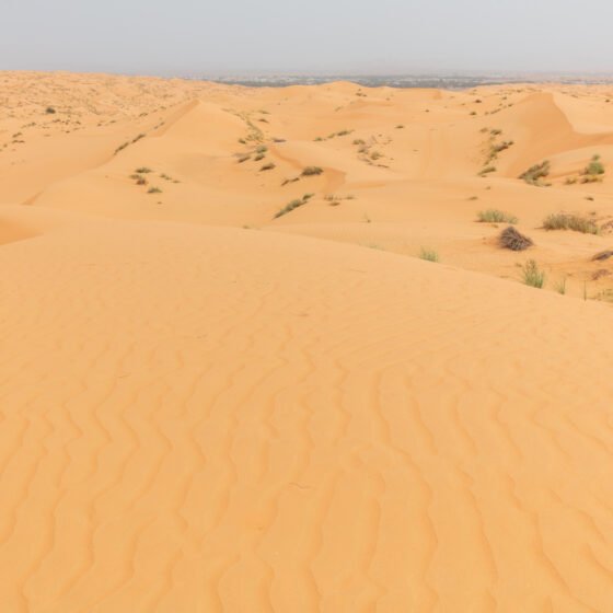 Oman Signature 6 Nights 7 Days