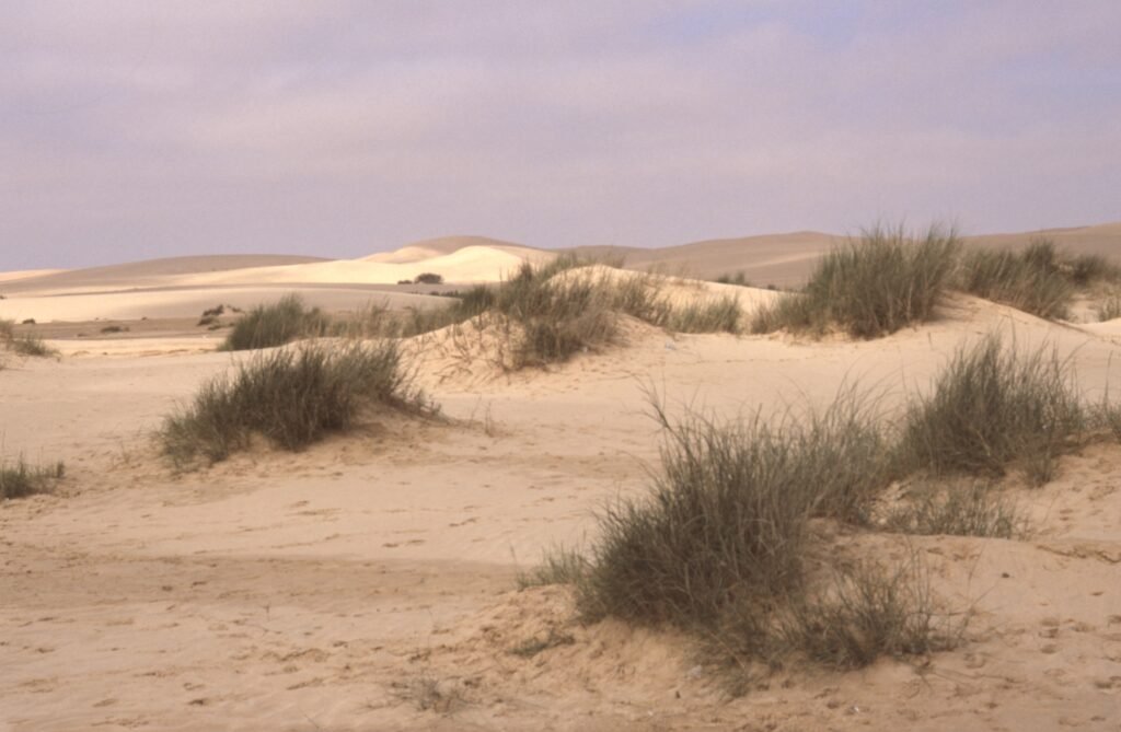 Oman Grand Circuit 8 Nights 9 Days