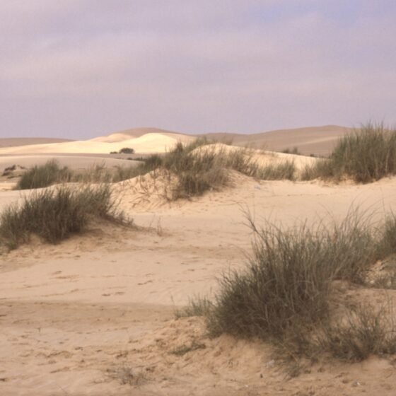 Oman Grand Circuit 8 Nights 9 Days