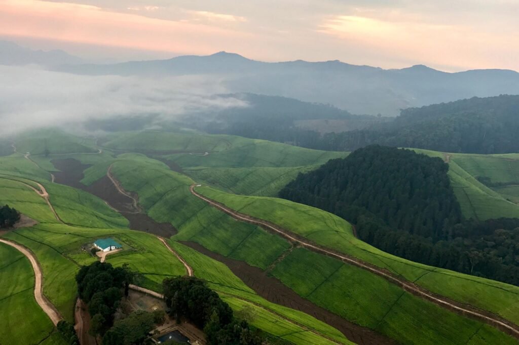 Rwanda tour packages