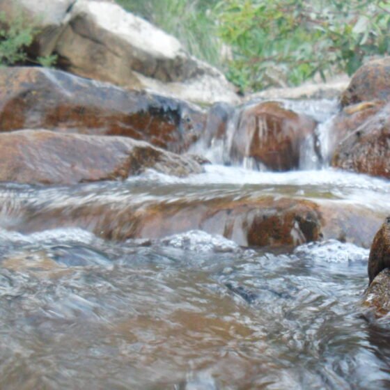 Algeria Grand Circuit 8 Nights 9 Days