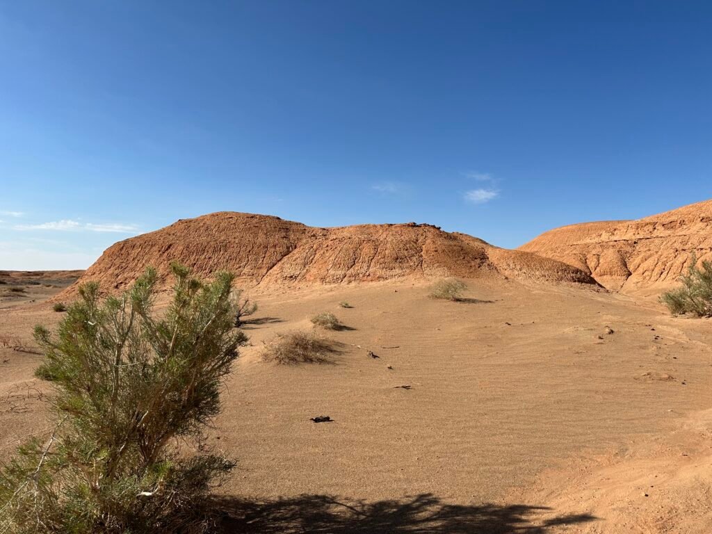 Mongolia Grand Circuit 8 Nights 9 Days