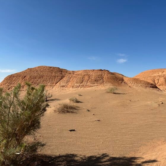 Mongolia Grand Circuit 8 Nights 9 Days