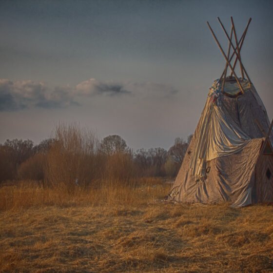 Mongolia Signature 6 Nights 7 Days